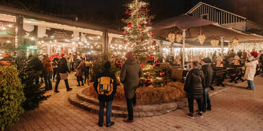 Luftburg im Prater macht Christbaumkauf zum Familienfest