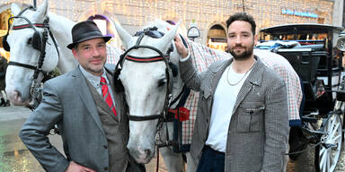 "Muss ein Ende haben": Fiaker berichten von Attacken und Rufmord