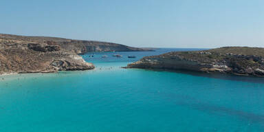 1-rabbit-beach1.jpg