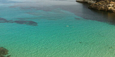 1-rabbit-beach21.jpg