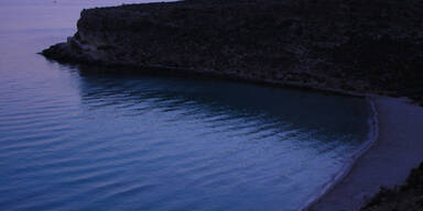 1-rabbit-beach31.jpg