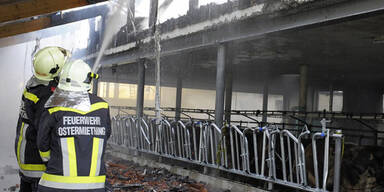 Blitzschlag: Brand auf Anwesen in Tarsdorf