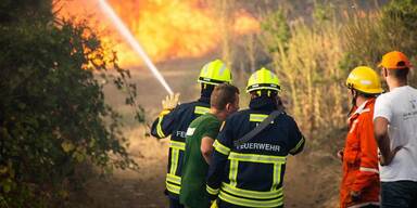 Höchste Waldbrand-Gefahr im Land – absolutes Feuerverbot in allen Bezirken