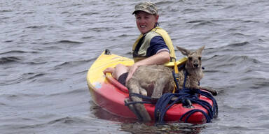 Überschwemmungen in Australien