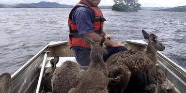 Überschwemmungen in Australien