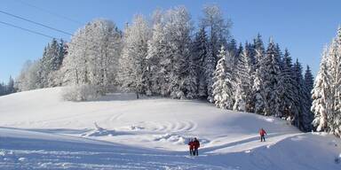 Skilifte gerettet: Neuer Chef lässt Königsberg aufatmen