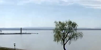 1neusiedlersee.jpg