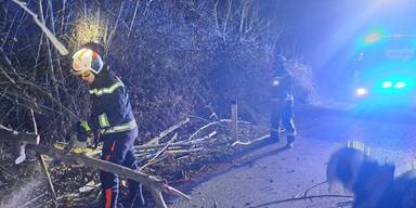 Mega-Sturm "Charly" fegte mit 150 km/h über Österreich