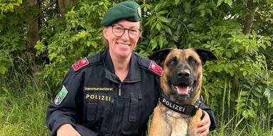 hund und drohne stockerau