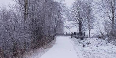 Schnee