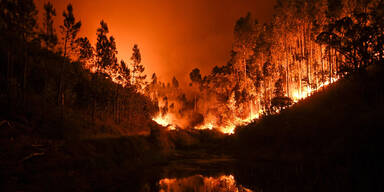 Portugal Waldbrand