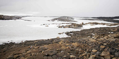 Island Gletscher Okojokull