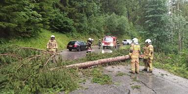 Meteorologe warnt vor Sturmböen