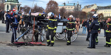 Pferd blieb verletzt liegen - Fiaker-Unfall schockt Passanten