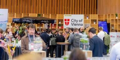 Innovative Stadtplanung: Vienna Connect in Ljubljana