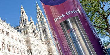 Brunnhilde mi Eurovision Song Contest Design