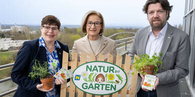 Aufblühen im Garten: NÖ startet MEGA-Kräuter-Offensive 2026