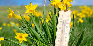 Sonne pur: Hier hat es bald 20 Grad in Österreich