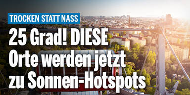 25Grad_Konsole.jpg