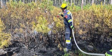 Polizei ermittelt nach Waldbrand im Föhrenwald