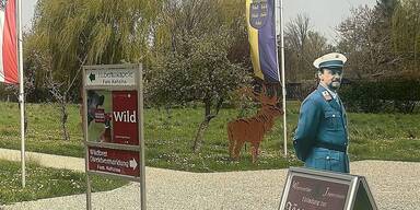 2779826_opener_1071952_kohzina3.jpg