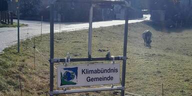 Gestohlene Ortstafeln mit Entschuldigungbrieferl retourniert