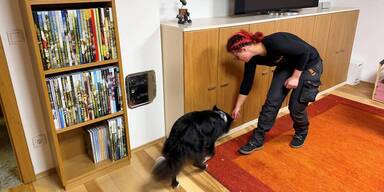 Spürhund im Einsatz gegen Schimmelsporen