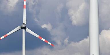 8 Windräder: Bürger von Traismauer fürchten Verschandelung der Natur