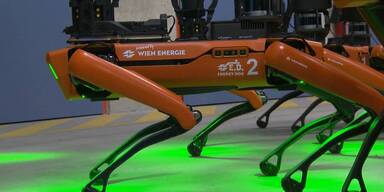 Vier neue Roboterhunde für die Wien Energie