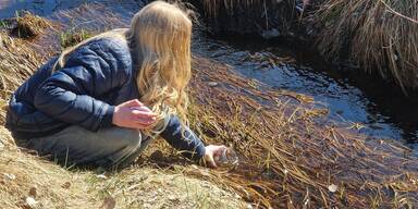 Schremser Schüler als "Moorbotschafter"