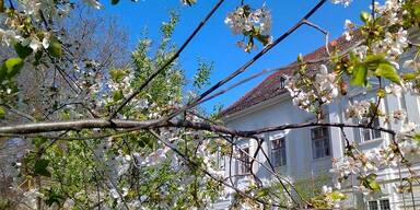 Schloss Geheim-Tipp öffnet wieder: Eine der größten Privatsammlungen Europas!