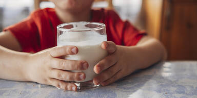 520 Mio. Euro Umsatz: Molkereien SalzburgMilch und Pinzgau Milch wollen fusionieren