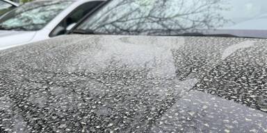 Kaputter Lack durch Saharastaub