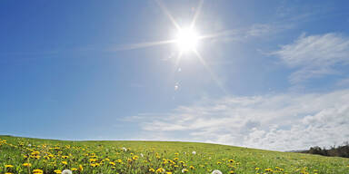 35Grad_Header.jpg