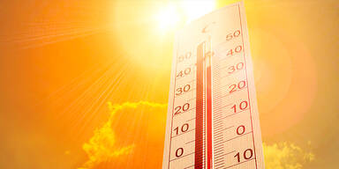 38Grad_Header.jpg
