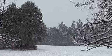 HIER gibt es heute Weiße Weihnachten 