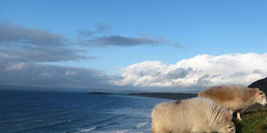 3rhossili-bay2jpg.jpg