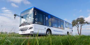 NÖVOG-Bus-Offensive zwischen Ybbs und Wieselburg