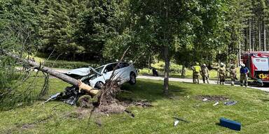Mit 3 Promille! Alko-Fahrer kracht mit Sohn (4) im Auto gegen Baum