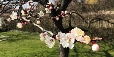 Frühling