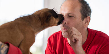 Negativ-Rekord: immer mehr Tiere brauchen Hilfe