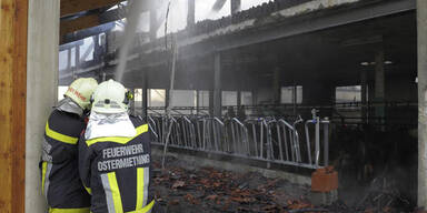 Blitzschlag: Brand auf Anwesen in Tarsdorf