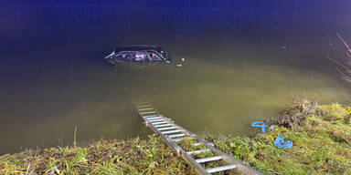 Auto landete mit Lenkerin und Hund in Teich