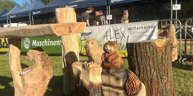 Internationales Motorsägenschnitz-Event im Waldviertel