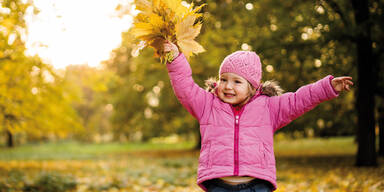 Herbst Oktober Goldener Herbstwetter Wetter