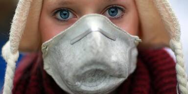 "Gefahr aus dem Burgenland": NÖ Straßendienst nimmt Kampf auf