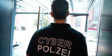 Polizei warnt vor Fake-Shops für Holzpellets