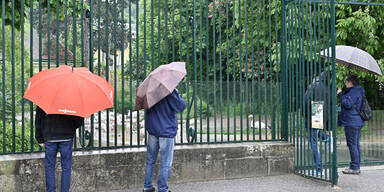 Besucher-Lieblinge im Zoo Schönbrunn mussten umziehen