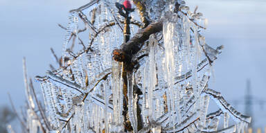 Schrems: Schneidend kalte -13° am NÖ-Kältepol