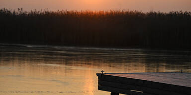 Nationalpark Neusiedler See wächst